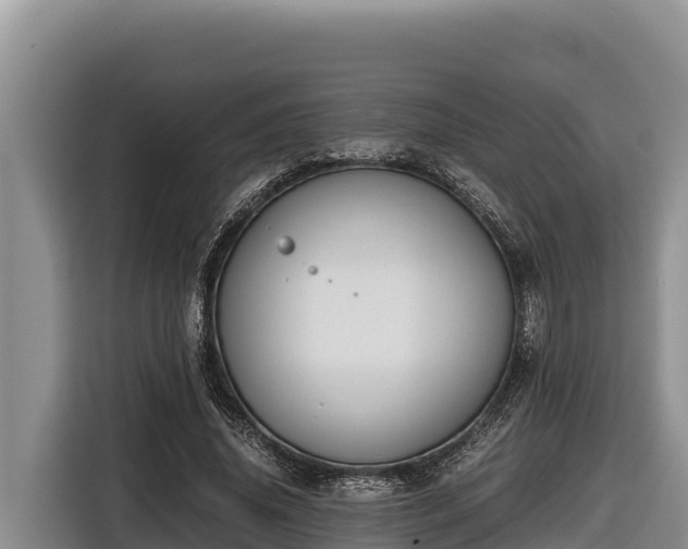 X0000116820636200912241241