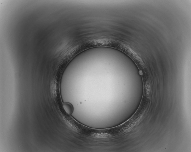 X0000116820637200912241241