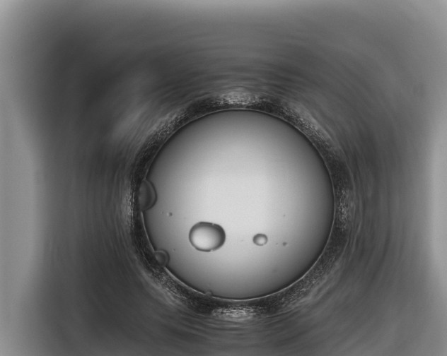 X0000116820639200912241241