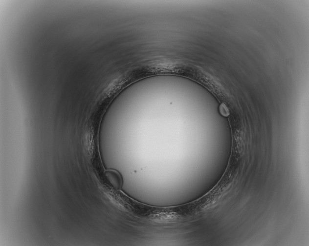 X0000116820642200912241241