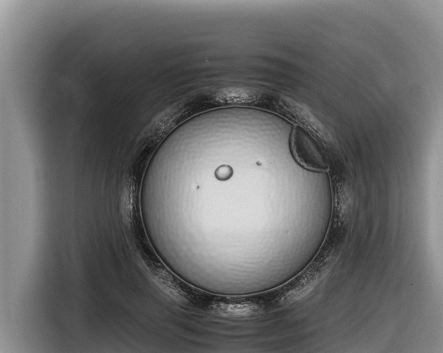 X0000116820645200912241241