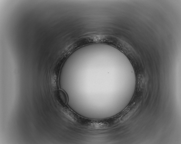 X0000116820650200912241241