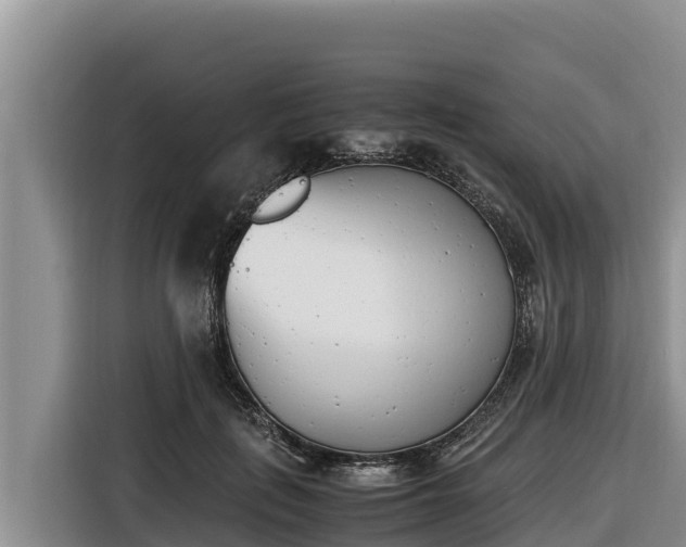 X0000116820651200912241242