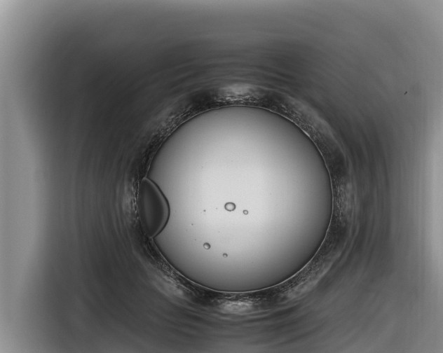 X0000116820653200912241242