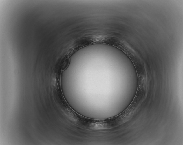 X0000116820655200912241242