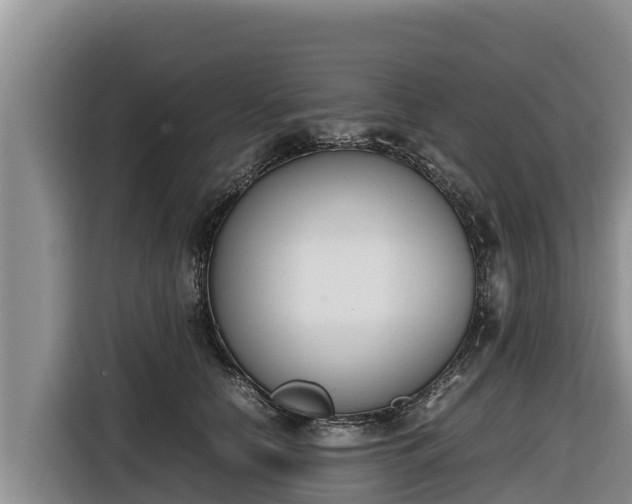 X0000116820658200912241242