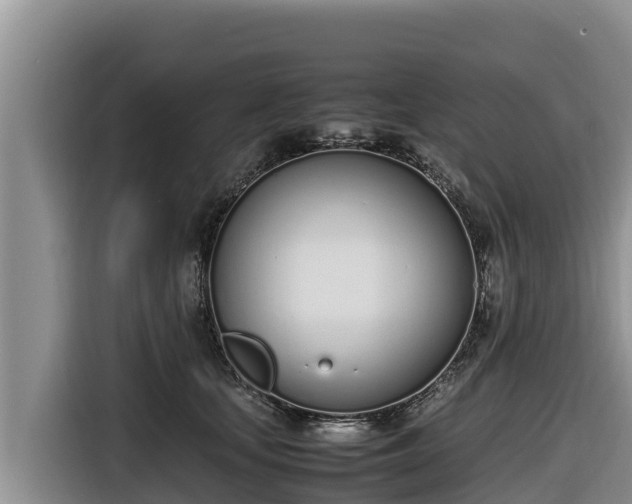 X0000116820659200912241242