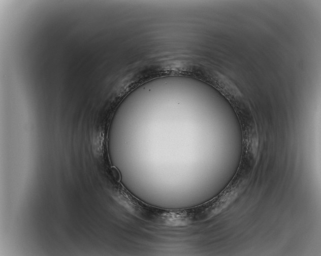 X0000116820660200912241242