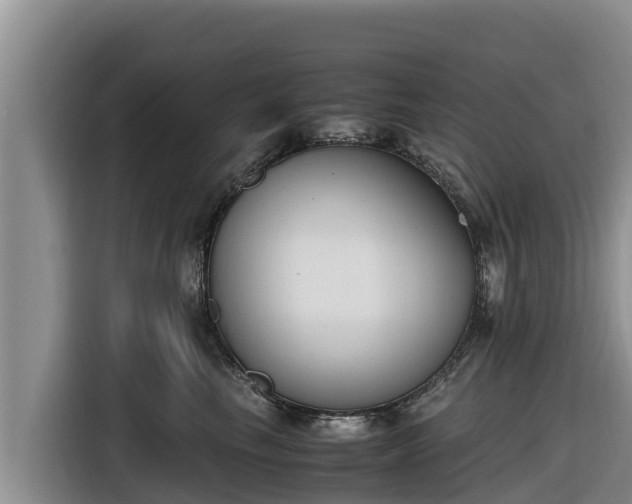 X0000116820665200912241242