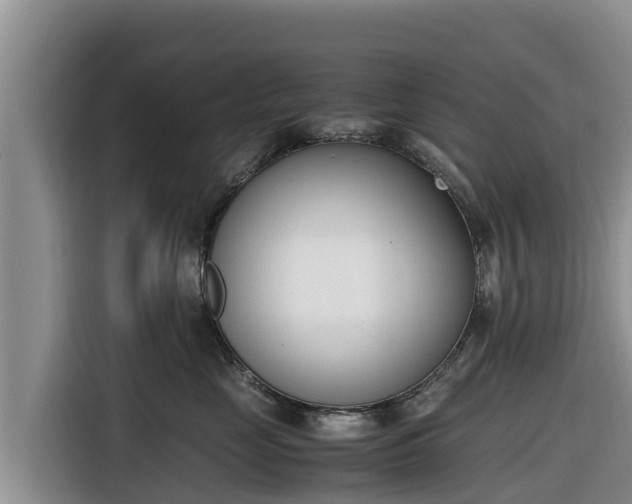 X0000116820669200912241242