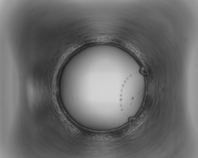 X0000116820673200912241241