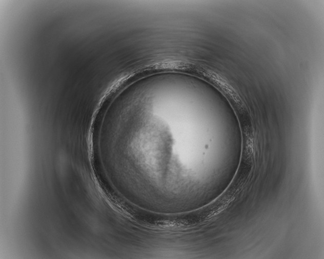 X0000116820678200912241241