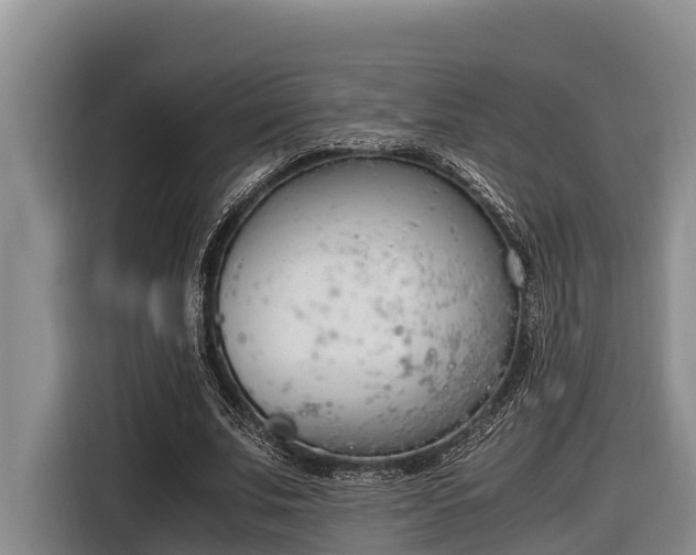 X0000116820679200912241241