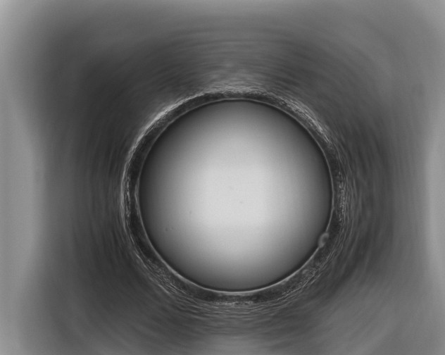 X0000116820680200912241241