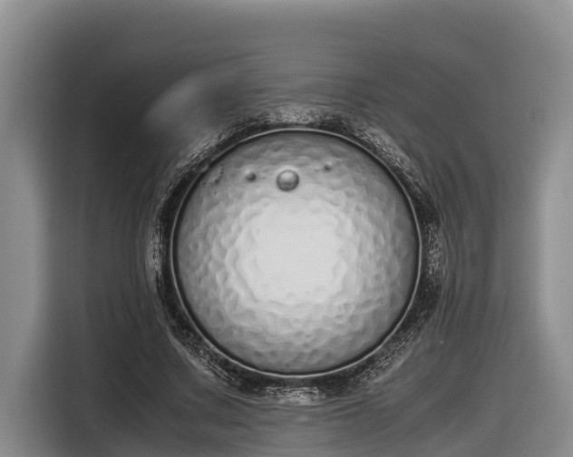 X0000116820683200912241241