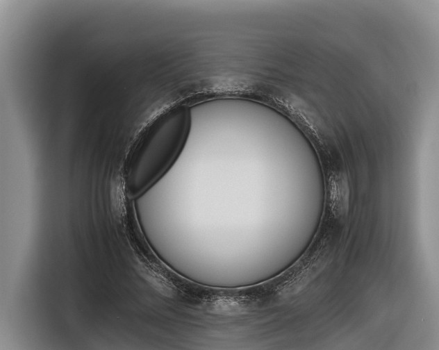 X0000116820684200912241241