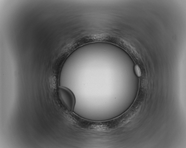 X0000116820689200912241241