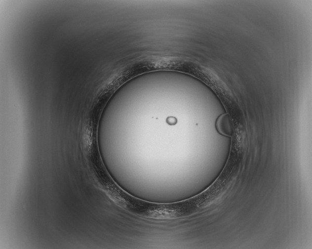 X0000116820691200912241241