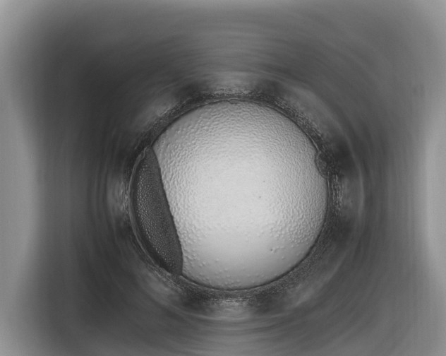 X0000116820692200912241241