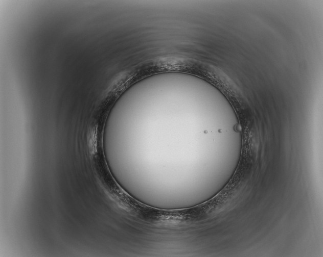 X0000116820694200912241241