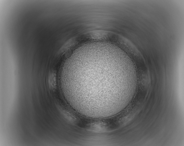 X0000116820696200912241241