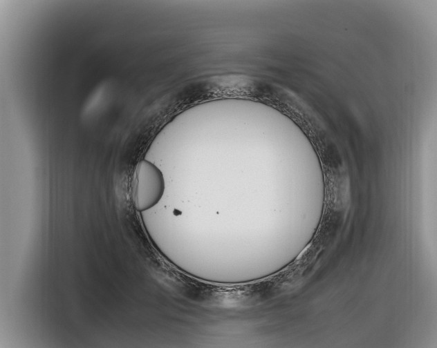 X0000116820701200912241241