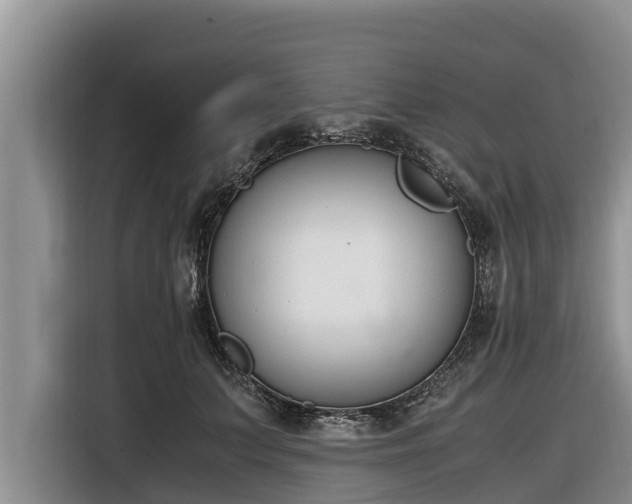 X0000116820703200912241241