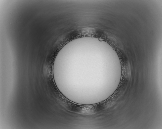 X0000116820705200912241241