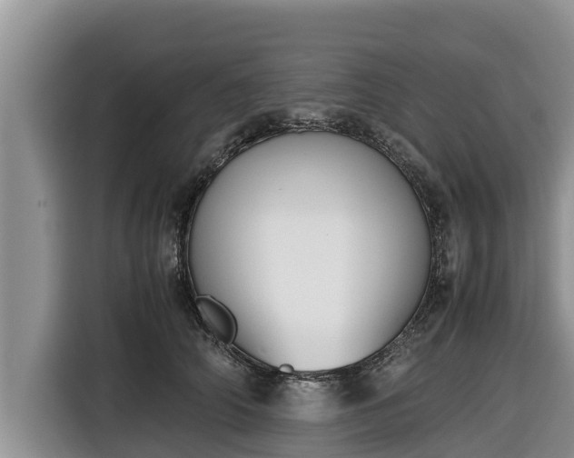 X0000116820706200912241241