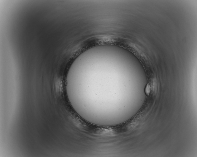 X0000116820715200912241241