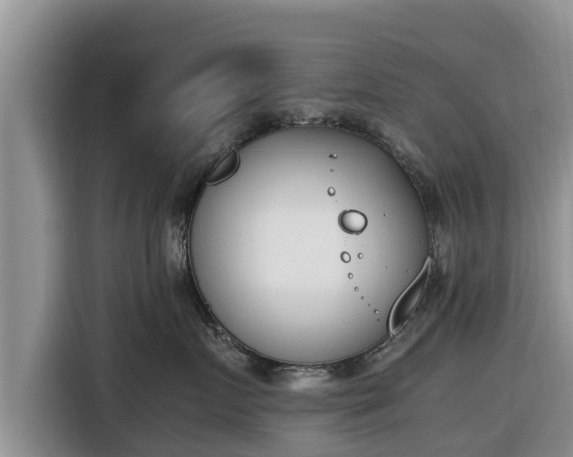 X0000116820719200912241241