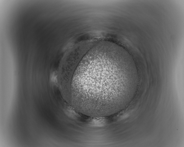 X0000116820720200912241241