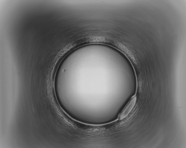 X0000116820721200912241240