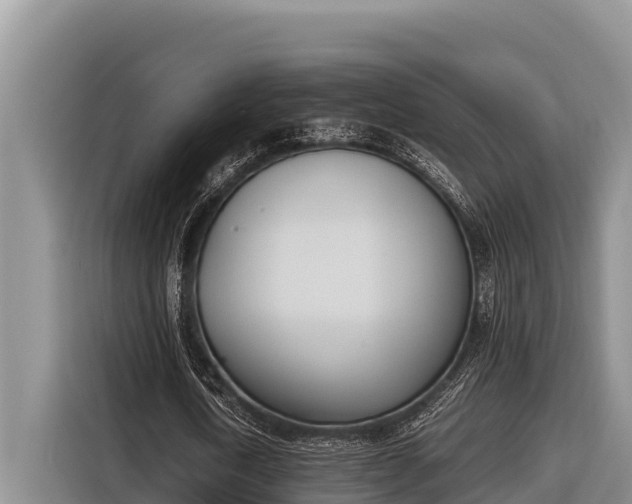 X0000116820722200912241240