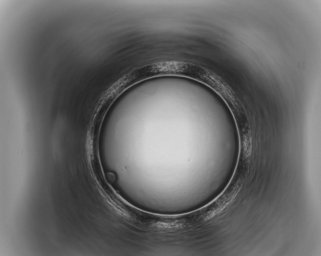 X0000116820725200912241240