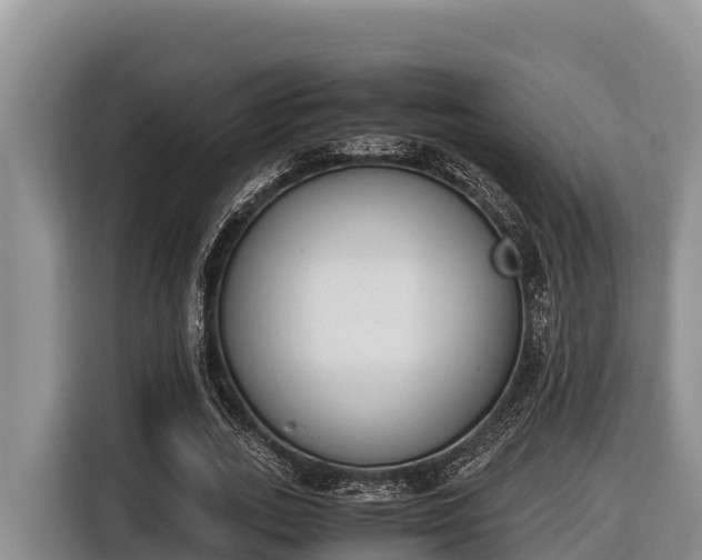 X0000116820727200912241240