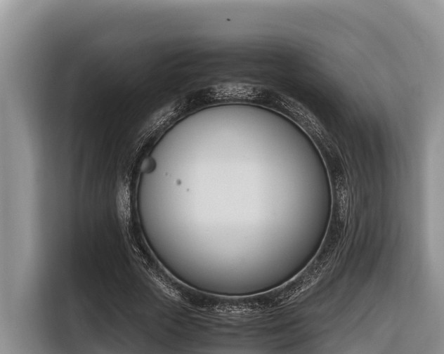 X0000116820729200912241240