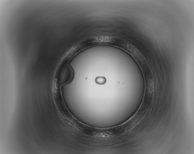 X0000116820731200912241240