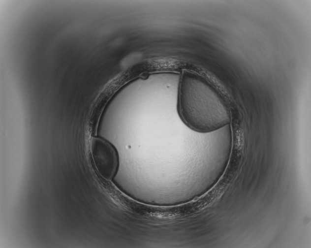 X0000116820733200912241240