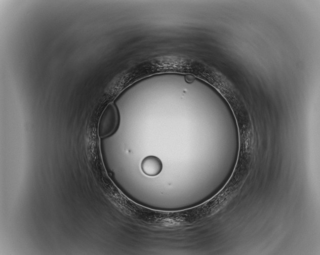 X0000116820737200912241240