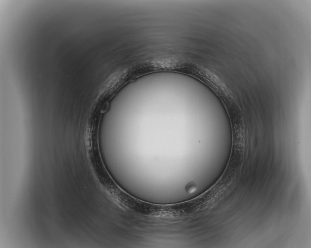 X0000116820738200912241240