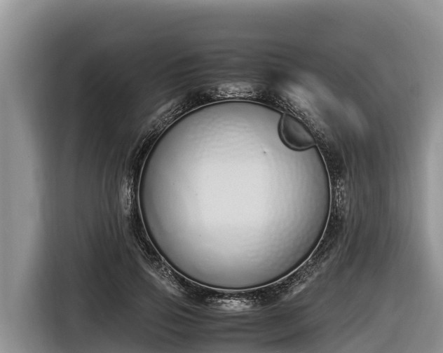 X0000116820741200912241240