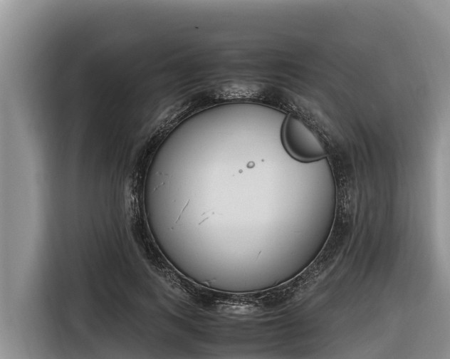 X0000116820743200912241240