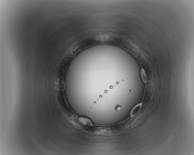 X0000116820750200912241240