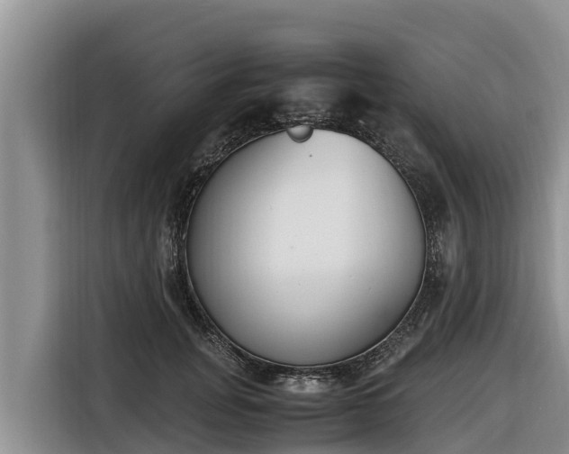 X0000116820751200912241240