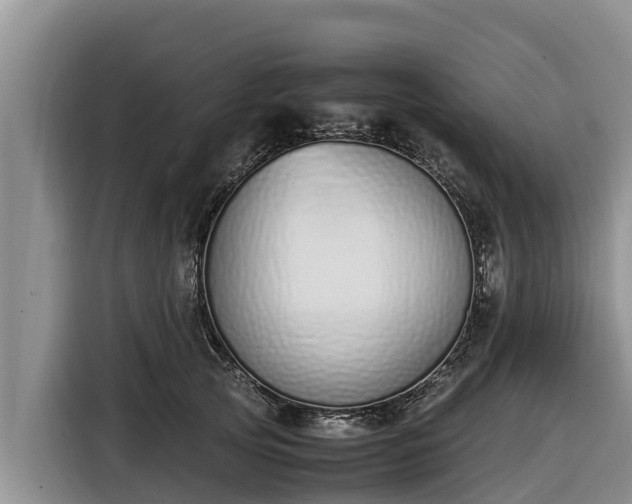 X0000116820753200912241240