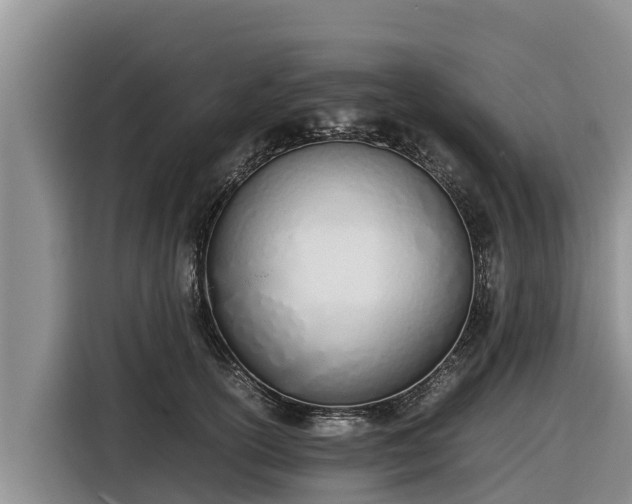 X0000116820754200912241240