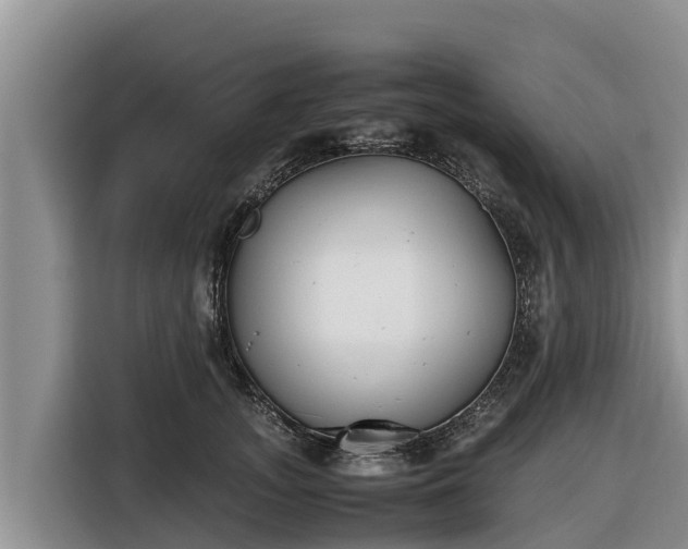 X0000116820755200912241240