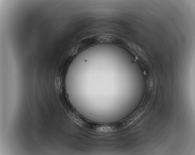 X0000116820759200912241240