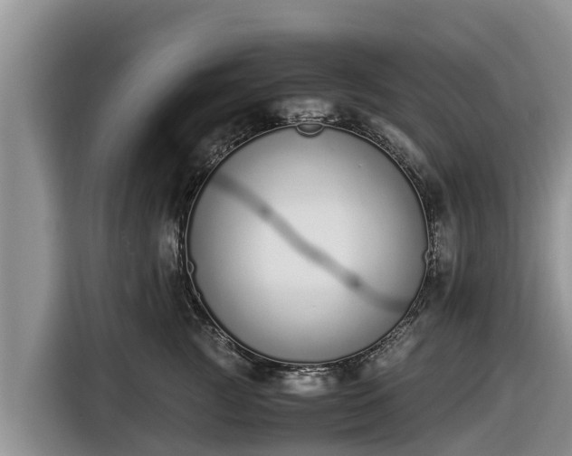 X0000116820761200912241240